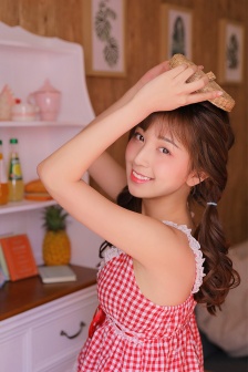 屋顶上的大象